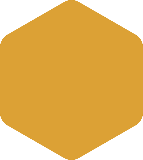 https://messamadencilik.com/wp-content/uploads/2020/09/hexagon-orange-huge.png